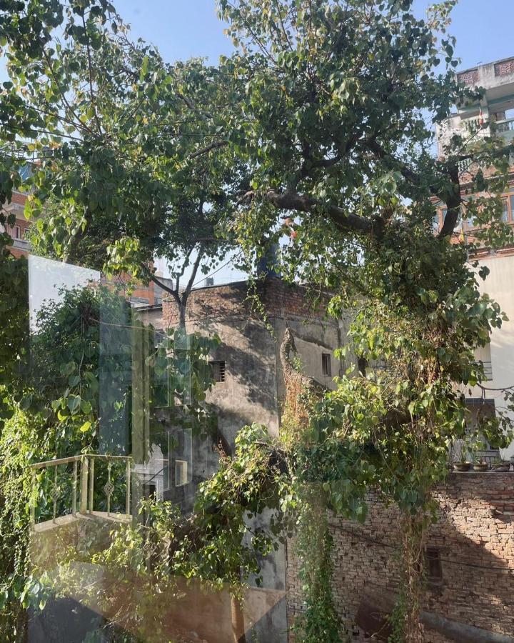 Rooftop Studio And 2Bhk Apartments In Kathmandu'S Most Happening Place Екстериор снимка